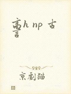 高h np 古言