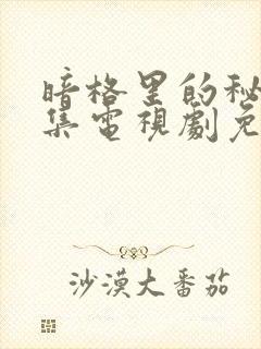 暗格里的秘密全集电视剧免费观看