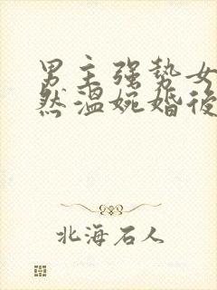 男主强势女主淡然温婉婚后文