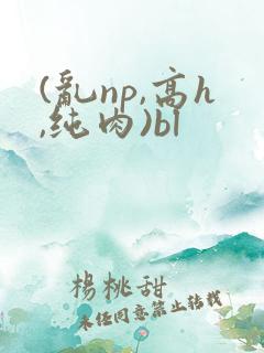 (乱np,高h,纯肉)bl