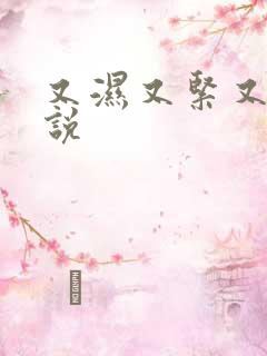 又湿又紧又爽小说