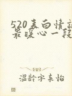 520表白情话最暖心一段话