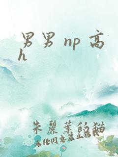 男男 np 高h