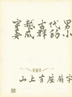 穿越古代男主妻妾成群的小说