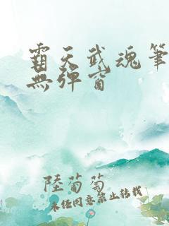 霸天武魂笔趣阁无弹窗