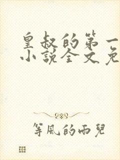 皇叔的第一宠妃小说全文免费阅读