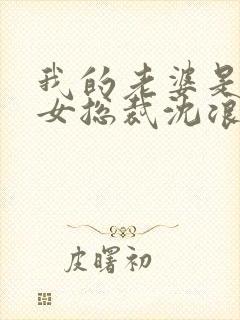 我的老婆是冰山女总裁沈浪