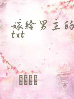 嫁给男主的舅舅txt