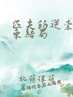 匹夫的逆袭刘汉东结局