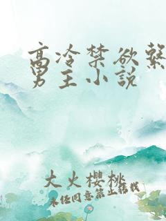 高冷禁欲系军人男主小说