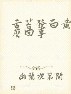 舌苔发白黄厚怎么回事