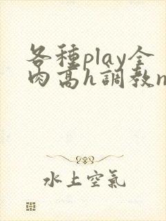 各种play全肉高h调教np