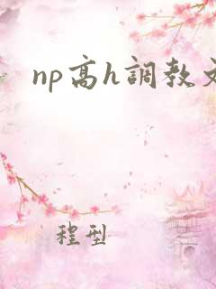 np高h调教文