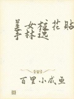 美女校花贴身高手林逸