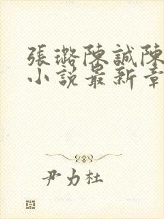 张璐陈诚陈梦的小说最新章节