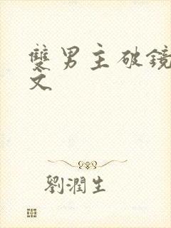 双男主破镜重圆文