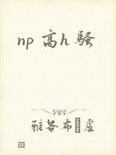 np 高h 骚