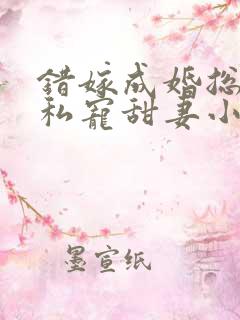 错嫁成婚总裁的私宠甜妻小说完整版