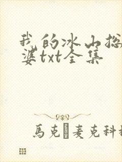 我的冰山总裁老婆txt全集