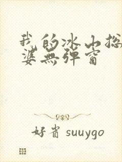 我的冰山总裁老婆无弹窗