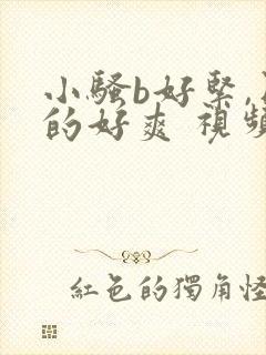 小骚b好紧,日的好爽 视频