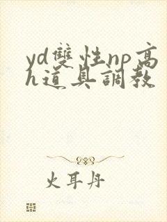 yd双性np高h道具调教