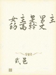 女主是男主情人的高干文