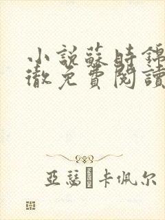 小说苏时锦楚君彻免费阅读