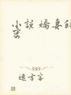 小说 娇妻的秘密