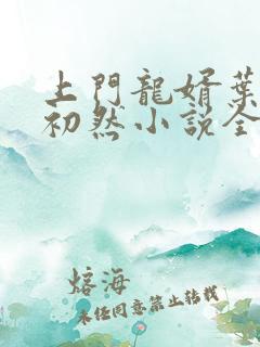 上门龙婿叶辰萧初然小说全集免