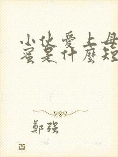 小伙爱上母亲闺蜜是什么短剧