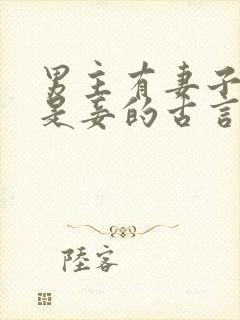 男主有妻子女主是妾的古言