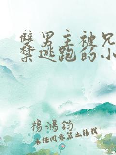 双男主被兄长囚禁逃跑的小说