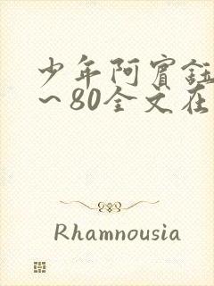 少年阿宾钰慧1~80全文在