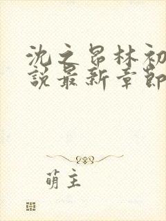 沈之昂林初窈小说最新章节免费阅读