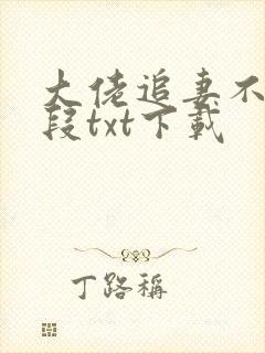 大佬追妻不择手段txt下载