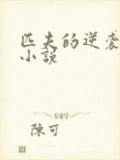 匹夫的逆袭原著小说