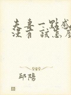 夫妻一点感情都没有 该怎么维持