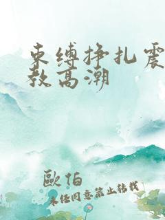 束缚挣扎震动调教高潮