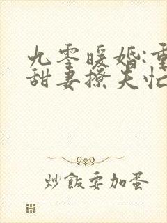 九零暖婚:重生甜妻撩夫忙在线阅读全文