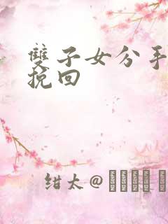 双子女分手怎么挽回