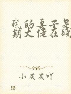 我的妻子是大乘期大佬在线观看