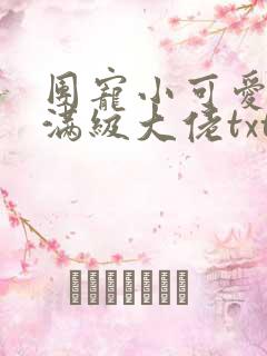 团宠小可爱成了满级大佬txt