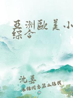 亚洲欧美小说区综合