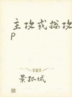 主攻或总攻文np