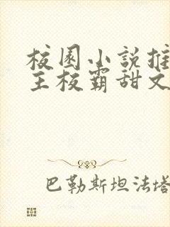 校园小说推荐男主校霸甜文