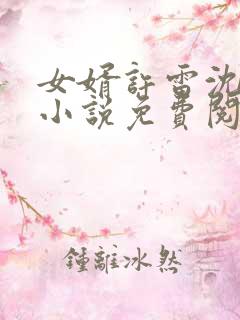 女婿许雷沈美茹小说免费阅读最新章