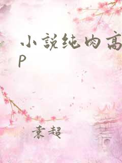 小说纯肉高hnp