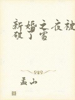 新婚之夜被宾客破了处