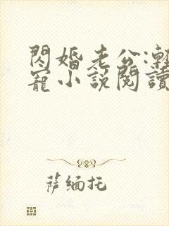 闪婚老公:轻点宠小说阅读全部